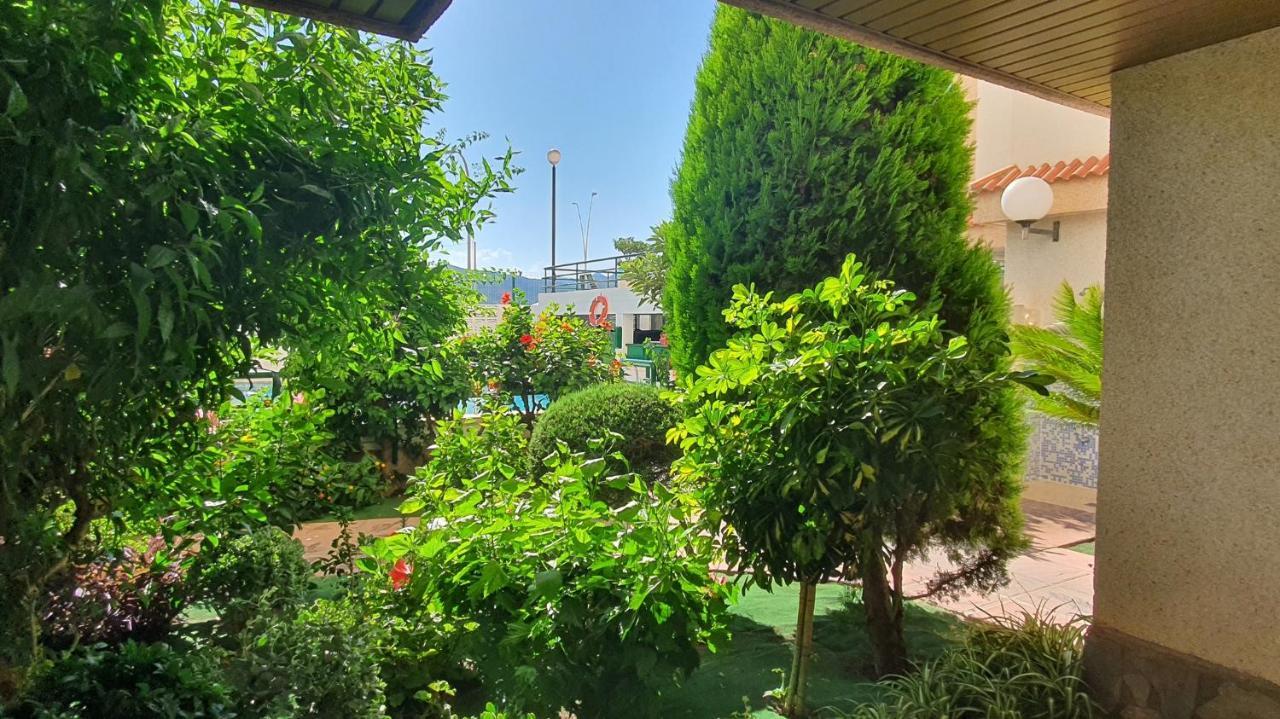 Apartamento JARDINES GANDIA- Solo Familias Playa de Gandía Exterior foto